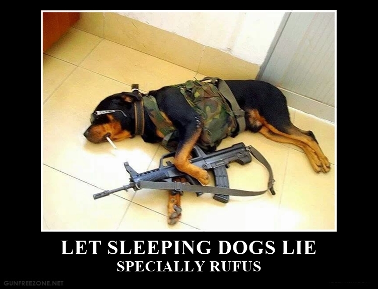 LET SLEEPING DOGS LIE
