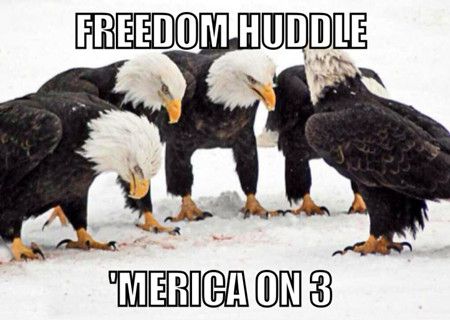 freedom-huddle-merica
