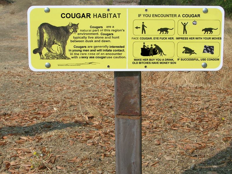 cougar habitat